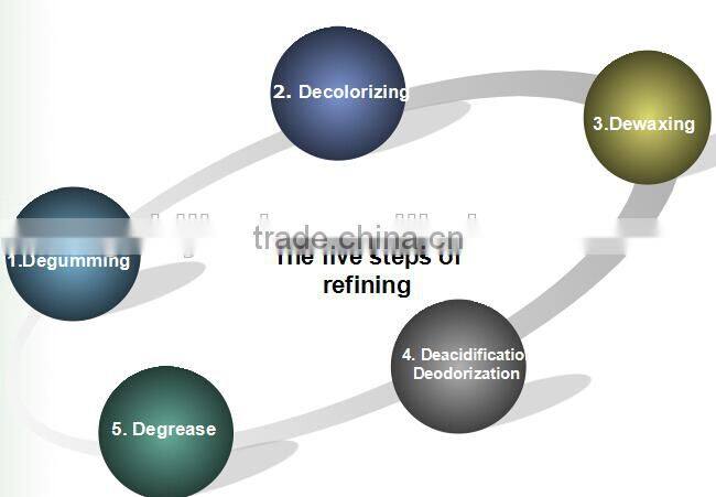 China 100TDP Commercial oil expellers For getting edible oil