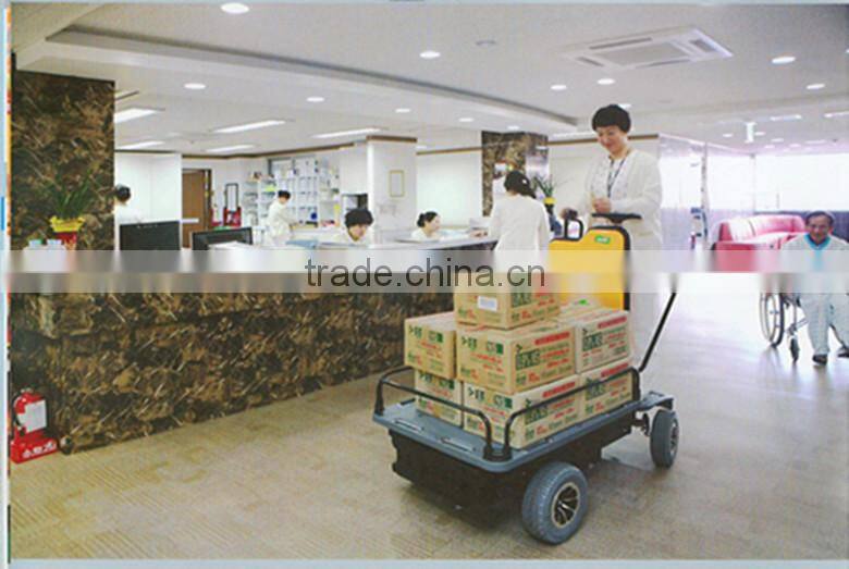 SUNEV ELECTRIC CARRIER