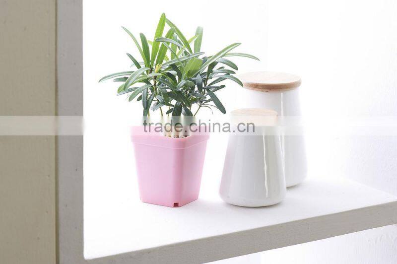 Plastic Colorful Small Square Flower Pots Without Pallet -3 inch