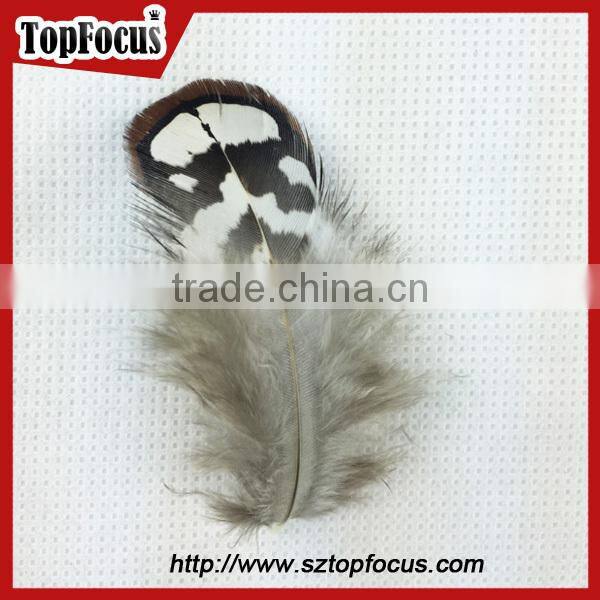 hot sale dyed Wholesale Natural cheap artificial pheasant feathers prices