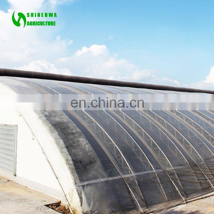Sunlight Greenhouse Hot Galvanizing Structure