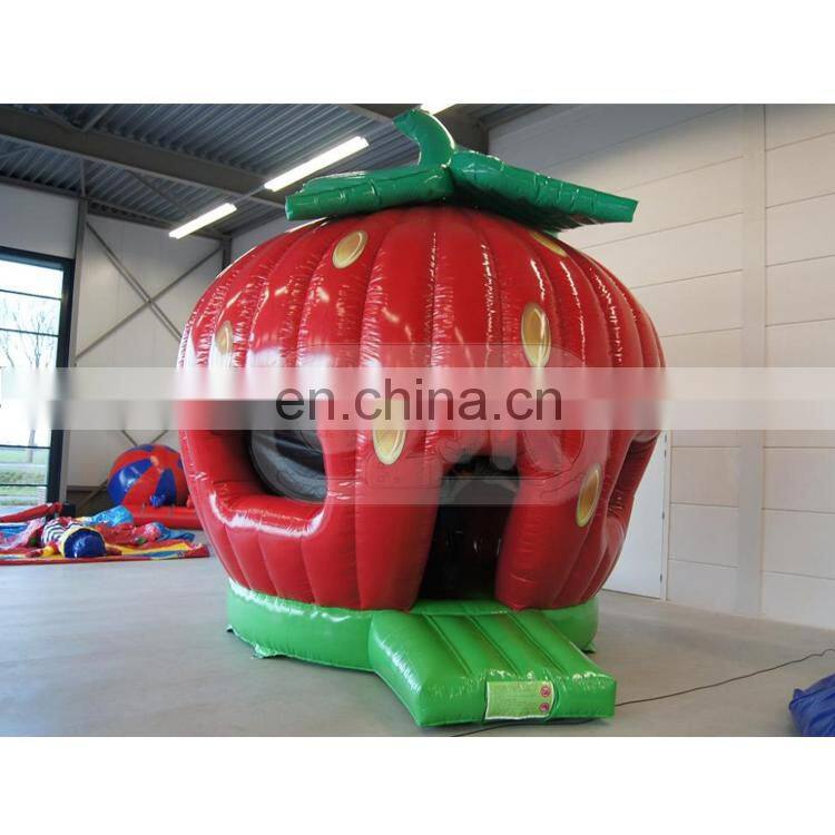 strawberry inflatable jumper bouncer  bounce house jumping bouncy castle
