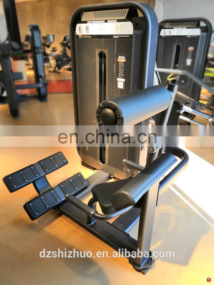 New arrival high quality gym exercise Back Extension machine commercial body building fitness equipment SES31