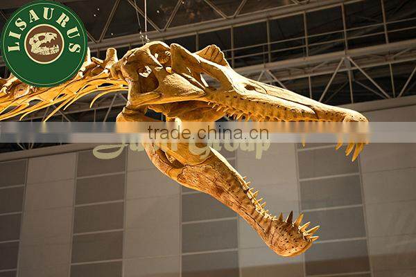 Lisaurus-1047 Indoor playground dinosaur fossil for science museum exhibits