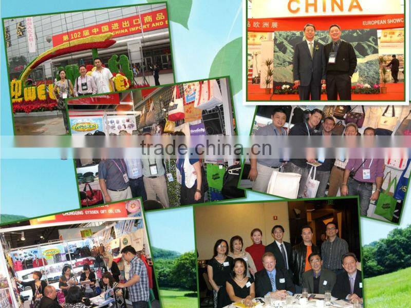 tsa lock luggage belt strap