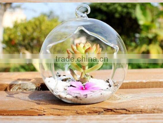 Hanging Ball Shaped Glass Vase, Beautiful Home Decoration Vase,