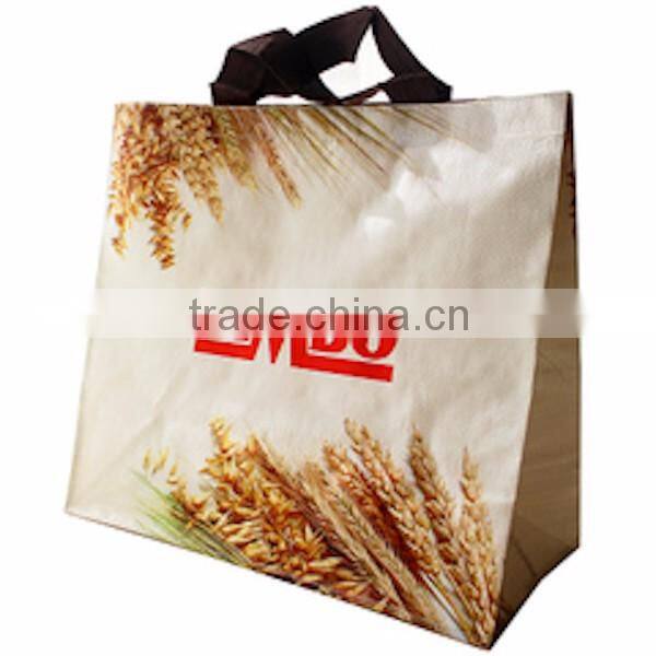 promo china cheap color printing pp woven shopping bag