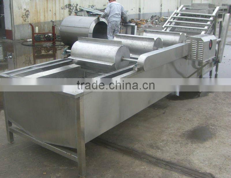 Strawberry processing line