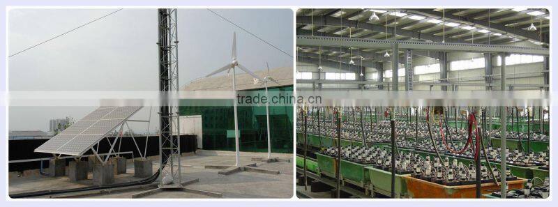 Valve Regulated Lead Acid Battery 12v