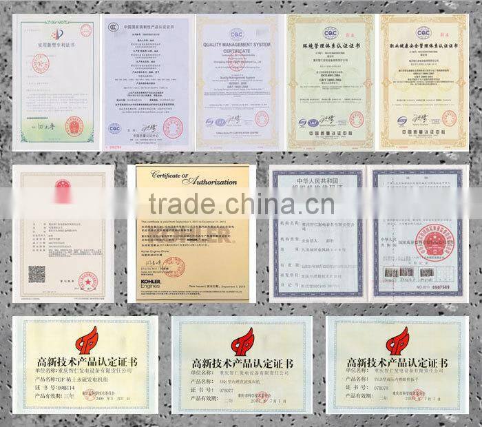 brushless rare earth neodymium permanent magnet generator Chinese