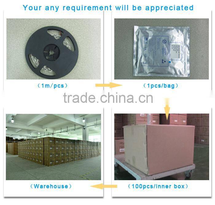 christmas led lights with shenzhen led lighting factory