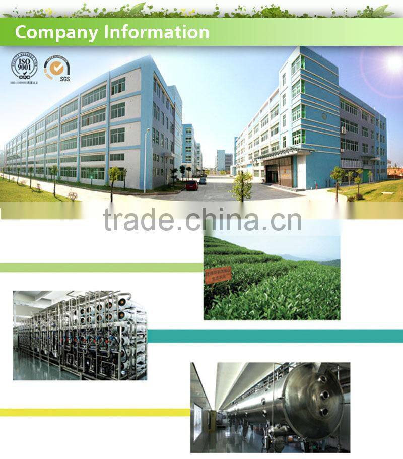 Health Traditional Honey Ginger Tea