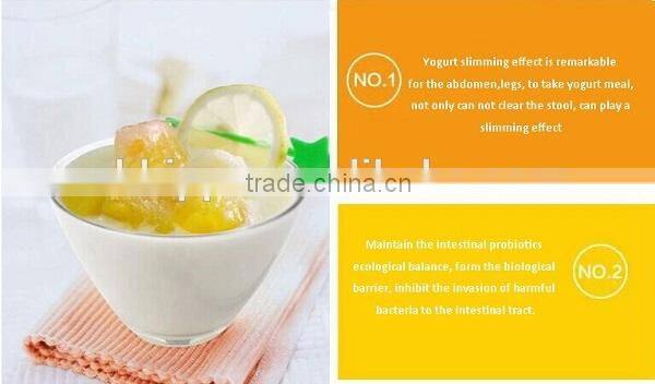 1.0L cheap electric home greek yogurt maker