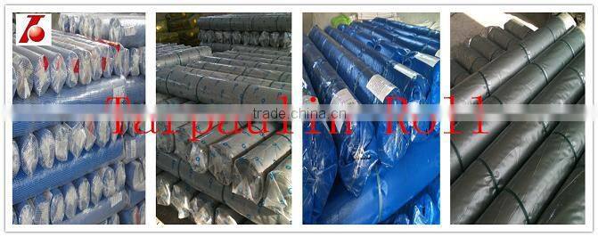 competitive price white blue plastic sheet pe tarpaulin rolls