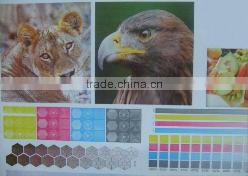 Letterpress type paper bag roll Flexo printing machine