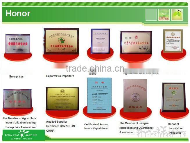 Mixed Snacks of Roasted Beans and Dry Fruits