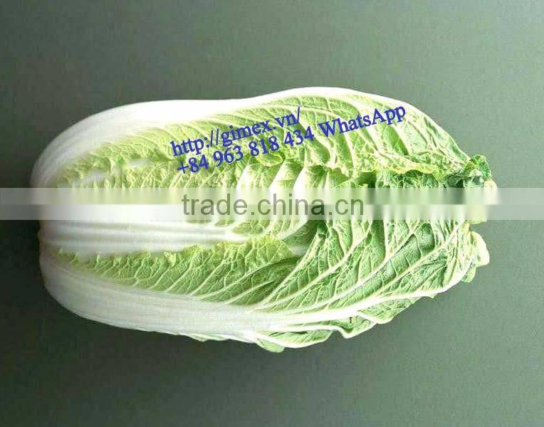FRESH CHINA CABBAGES
