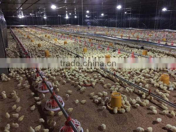 chicken feeders and drinkers galvanized for broiler