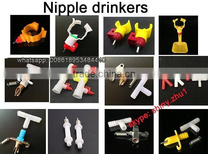 quail bird drinking water bowls drinking fountain bird dove semi automatic water bowl