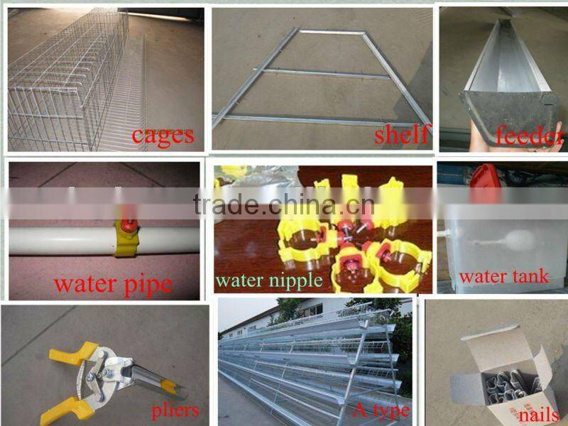 Chicken Cage Poultry Farm