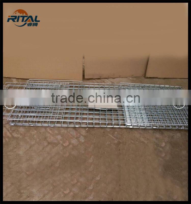 Factory supply new model Eco-friendly Mouse Squirrel Trap