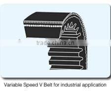 Variable Speed V-Belt