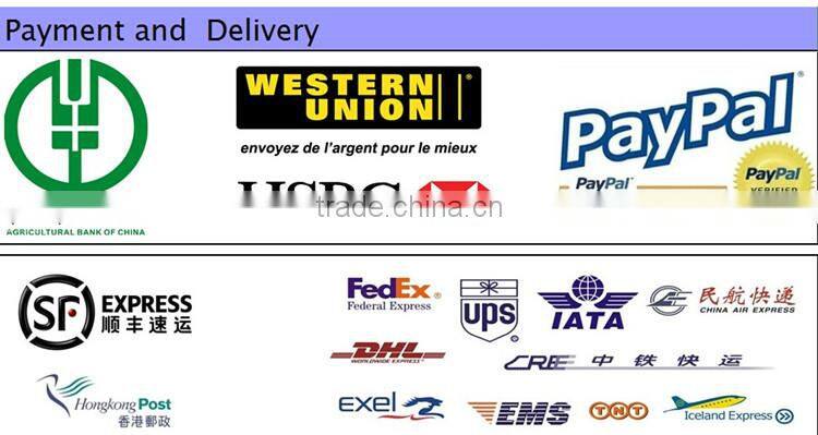 yuyao Doflex OEM New Design Fashion Style ACS SGS CE Certificated High Pressure 304 stainless steel shower hose