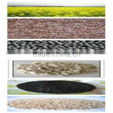 30-500TPD Palm Oil Machinery for Vegetable Oil