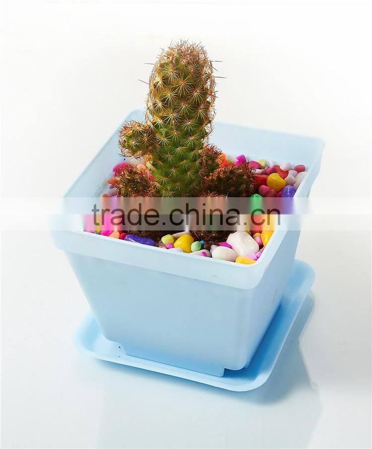 Plastic Colorful Small Square Flower Pots with Pallet Tray Saucer for Decoration of Home Office Desk Garden Flower Sh