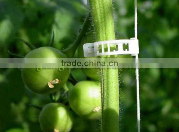 100%Biodegradable pla plastic tomato grafting clips eco-friendly plastic