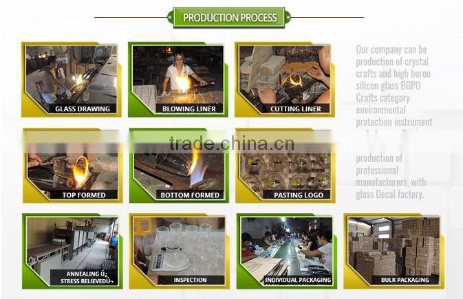 Haonai promise me water bottle, plastic infuser water bottle.