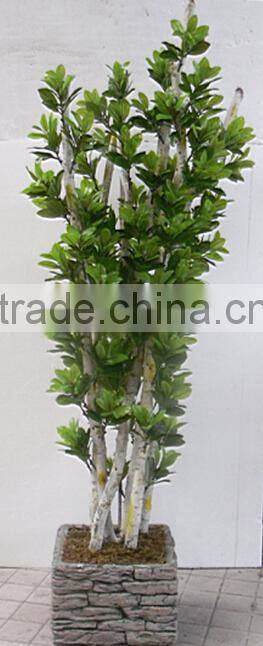 indoor Home garden decorative 250cm Height make artificial green live magnolia bonsai tree EXLYPZ06 0512