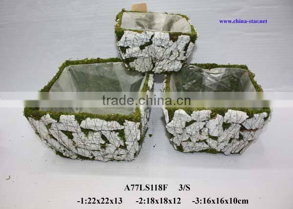 moss covered flower pot