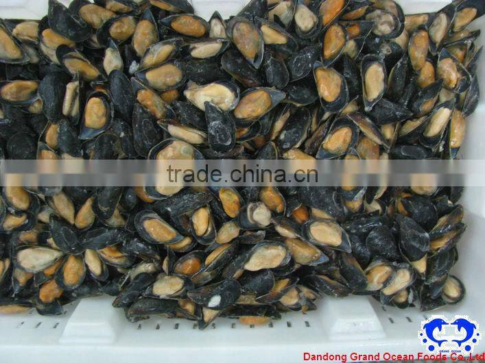 seafood frozen mussel meat in half shell