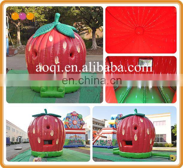 children inflatable bouncer strawberry bouncer inflat