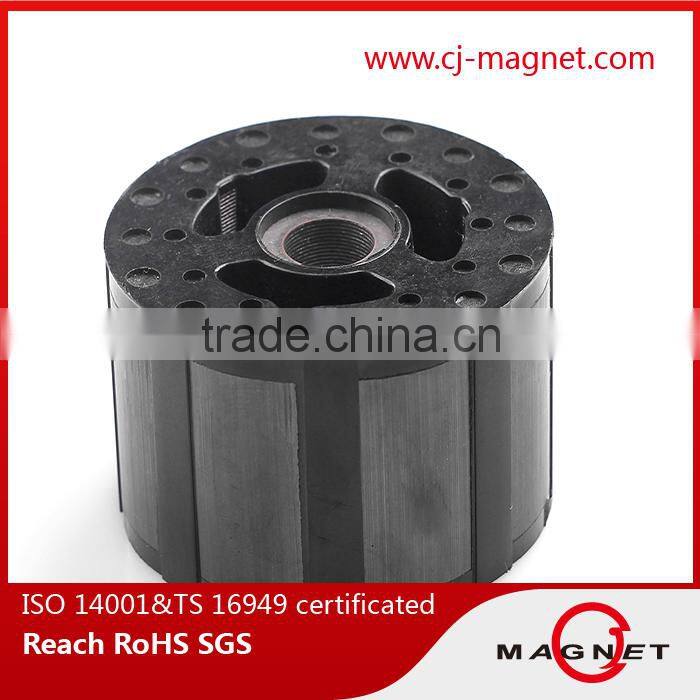Permanent Strong customized Ferrite Magnets for Motors with holes