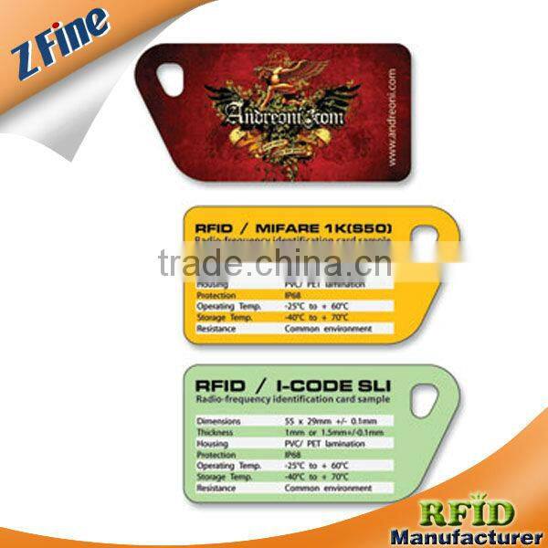 Color Offset Printing PVC Abnormity Plastic Card