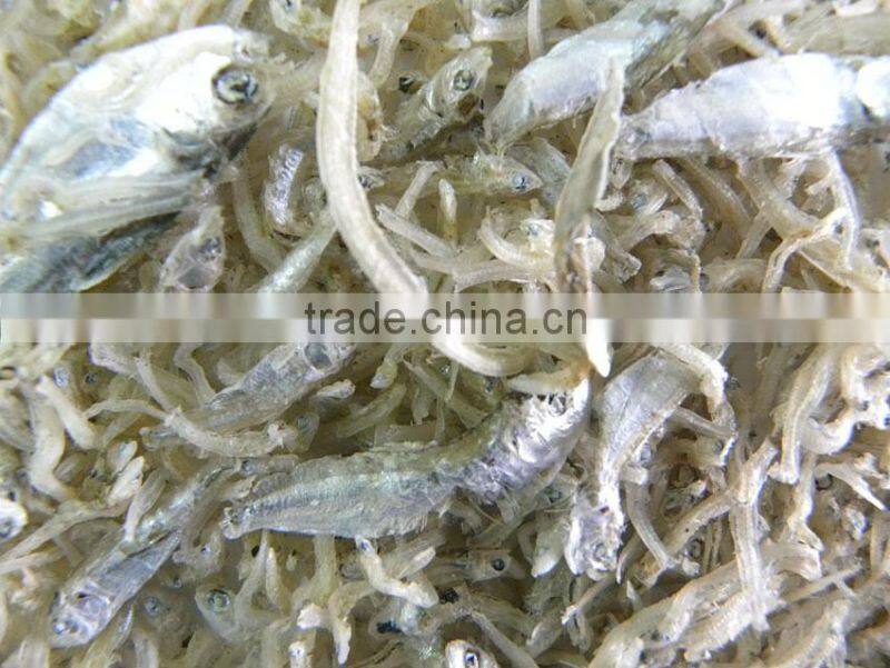 CCD color sorter for small anchovy fish with best price and good quality