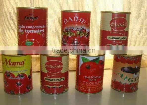 export Food & Beverages products,2200gram tomato paste for guinea