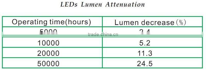 Interior ceiling LED light