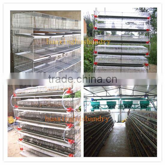 hot selling and good quality wire mesh quail cage