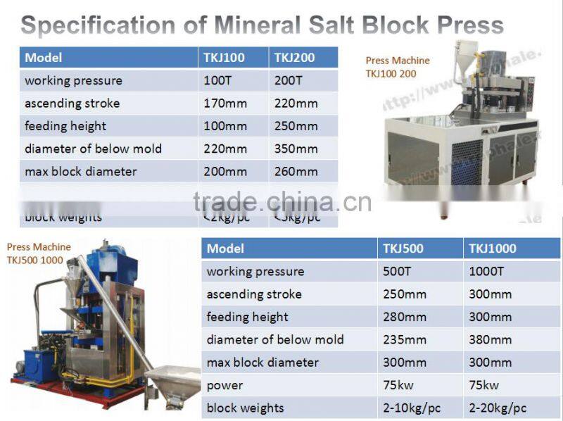 Rephale Salt Block/Tablet Press Machine