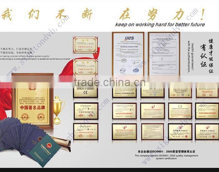 DVB-T2 Modulator T2MI Input for digital tv