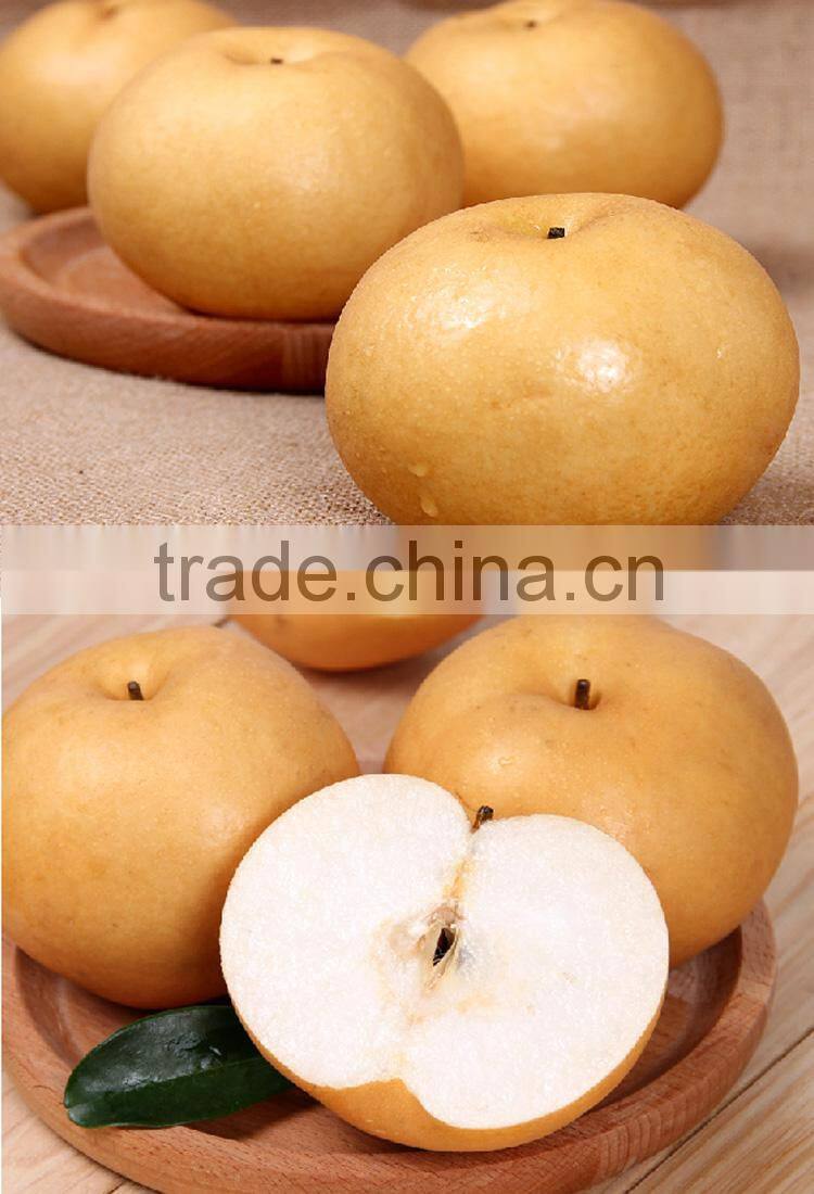 big yellow pear sweet juice