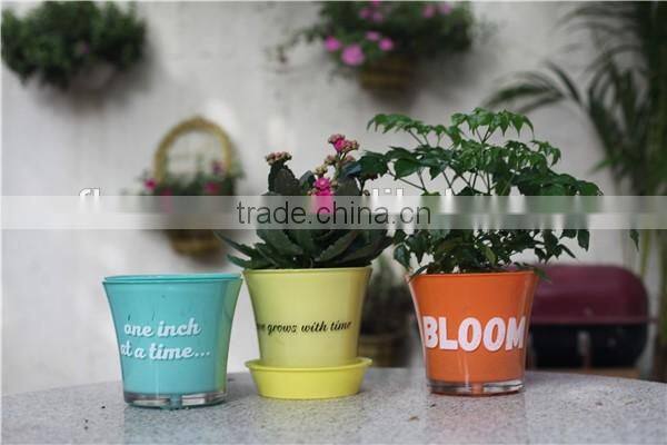 natural transparent decorative indoor flower pots with tray