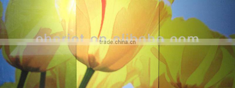 Holographic rear projection screen film 1.51mx30m paste on the window (Hot sales!)