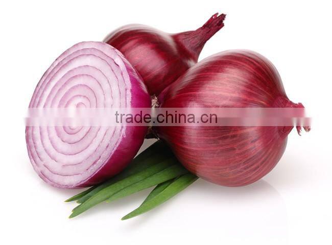 Automatic Fresh Onion Ring Processing Line; Machines for Fresh Onion Ring