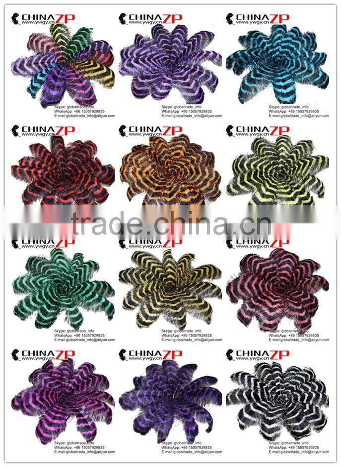 ZPDECOR Factory Wholesale Large Size from 28 to 30inch Striped Ostrich Feathers for Morelos Carnival