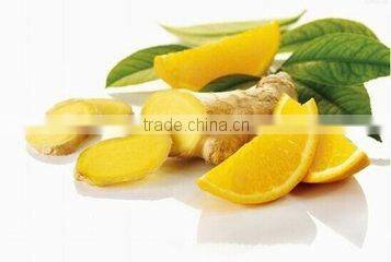 Fresh Ginger for Exportation