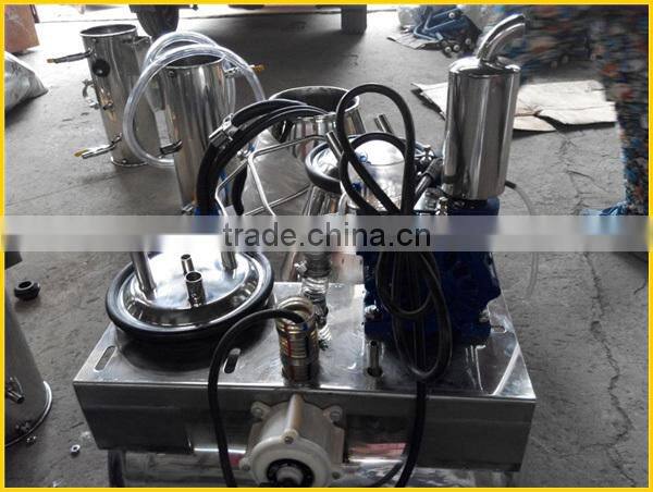 pipeline milking machine group of two buckets